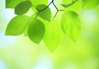 �X�܃C���[�W